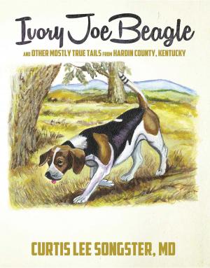 Book cover of Ivory Joe Beagle