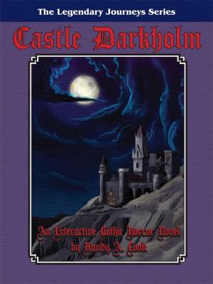 Cover of the book Castle Darkholm by john g rees