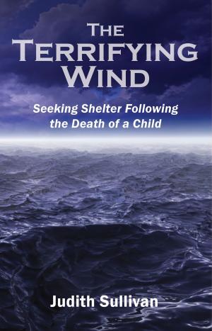 Cover of the book The Terrifying Wind by James J. Stamatelos