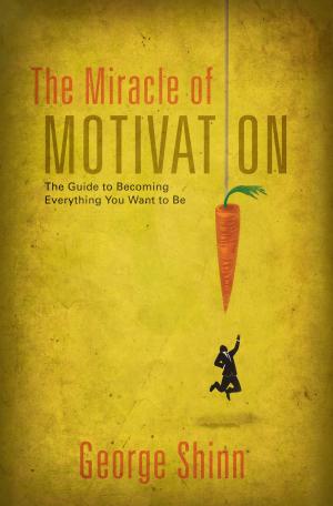 Cover of the book The Miracle of Motivation by Jennifer Barraclough