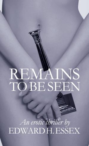 Cover of the book Remains To Be Seen by Melissa Renee St. Angel