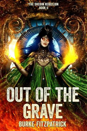 Cover of the book Out of the Grave by Shad M. Brooks
