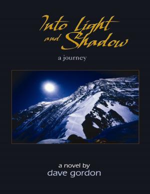 Cover of the book Into Light and Shadow: A Journey by 王 穆提