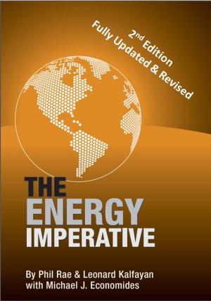 Book cover of The Energy Imperative