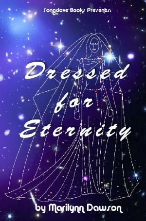 Cover of the book Dressed for Eternity by C.L. Bruton