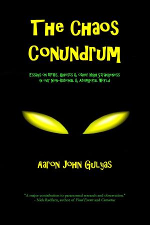 bigCover of the book The Chaos Conundrum by 