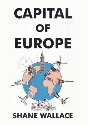 Cover of the book Capital of Europe by Vincent Morrone