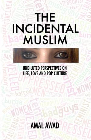 Cover of the book The Incidental Muslim by Terry Ganey