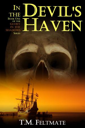 Cover of the book In the Devil's Haven by Steve Stroble