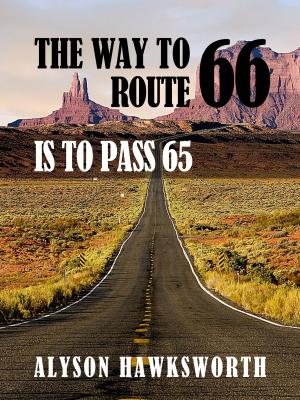 Cover of the book The Way To Route 66 Is To Pass 65 by A.P. Fuchs