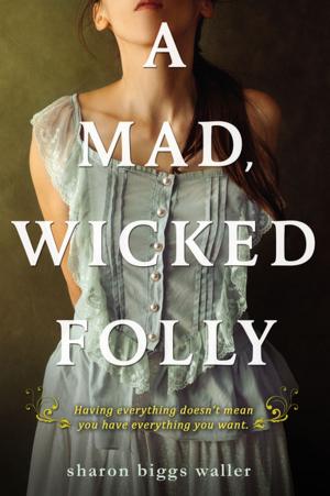 Cover of the book A Mad, Wicked Folly by David A. Adler