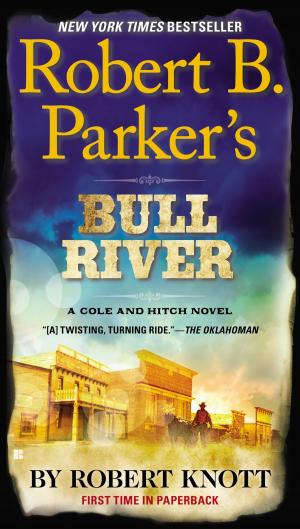 Cover of the book Robert B. Parker's Bull River by Jake Logan