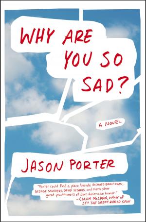 Cover of the book Why Are You So Sad? by Nandan Nilekani