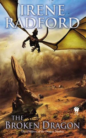 Cover of the book The Broken Dragon by Laura Resnick