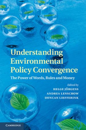 Cover of the book Understanding Environmental Policy Convergence by Ernian Pan, Weiqiu Chen