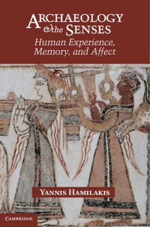 Cover of the book Archaeology and the Senses by 