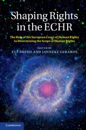 Cover of the book Shaping Rights in the ECHR by Kate Flavin, Clare Morkane, Sarah Marsh
