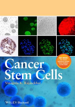 Cover of the book Cancer Stem Cells by David J. Price, John O. Mason, Andrew P. Jarman, Peter C. Kind