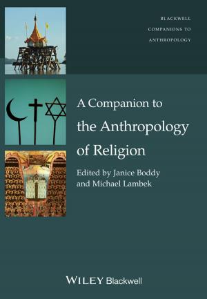 Cover of the book A Companion to the Anthropology of Religion by Stephane Charruau