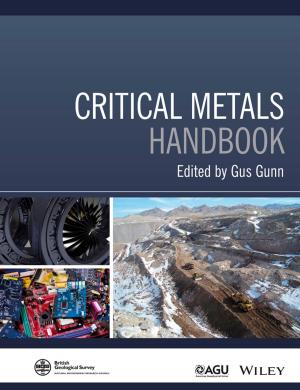 Cover of the book Critical Metals Handbook by Maciej Kranz