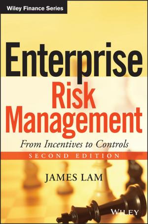 Cover of the book Enterprise Risk Management by Anna P. Murray