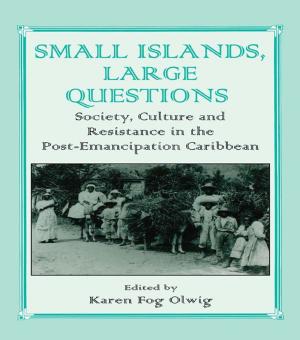 Cover of the book Small Islands, Large Questions by Stephen K. Medvic