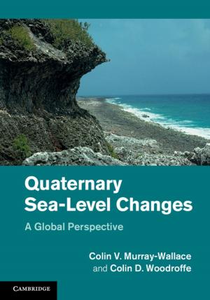 Book cover of Quaternary Sea-Level Changes