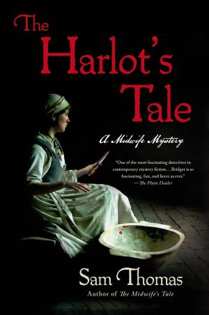 Cover of the book The Harlot's Tale by Jocelyn Brubaker