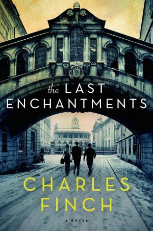 Cover of the book The Last Enchantments by Anna Dean