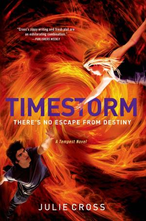 Cover of the book Timestorm by Melinda Metz, Laura J. Burns