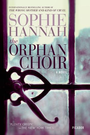 Cover of the book The Orphan Choir by Gail Jones