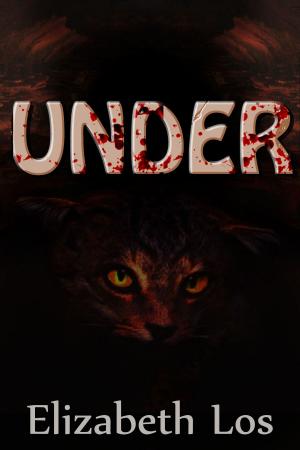 Cover of the book Under by Chris Northern