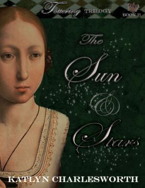 Cover of the book The Sun & Stars by Brian Osburn