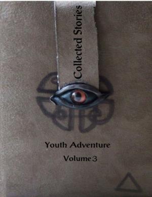 Book cover of Collected Stories: Youth Adventure 3