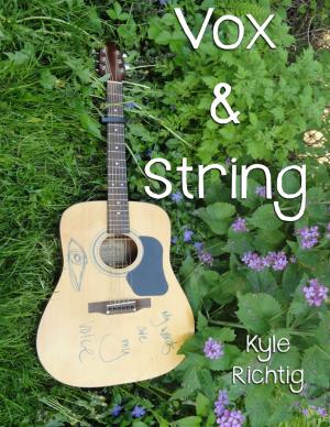 Cover of the book Vox & String by David Bachar
