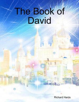 Cover of the book The Book of David by Douglas Christian Larsen
