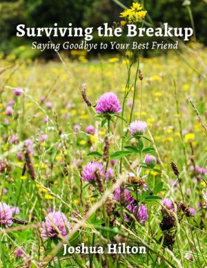 Cover of the book Surviving the Breakup: Saying Goodbye to Your Best Friend by Mara Reitsma, Mark McQuillen