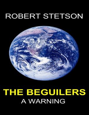 Cover of the book The Beguilers a Warning by Alan Limer
