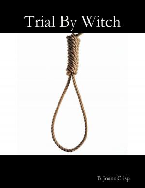 Cover of the book Trial By Witch by Justin Endres