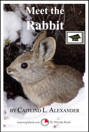Cover of the book Meet the Rabbit: A 15-Minute Book for Early Readers, Educational Version by Caitlind L. Alexander