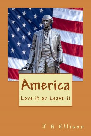 Book cover of America ~ Love it or Leave it