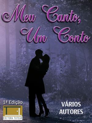 Cover of Meu canto, um conto