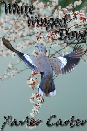Cover of the book White Winged Dove by Carris Pendleton