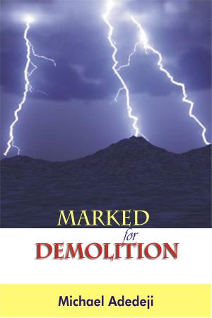 Cover of the book Marked for Demolition by Daphne Tarango