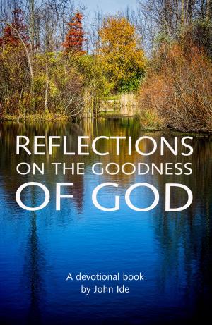 Cover of the book Reflections on the Goodness of God by Vickie Bryan