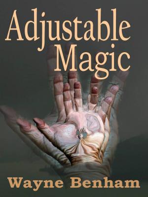 Book cover of Adjustable Magic