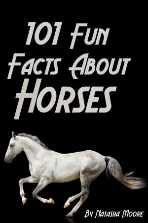 Book cover of 101 Fun Facts About Horses