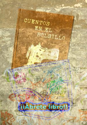 Cover of the book Cuentos en el bolsillo by Karen Cioffi