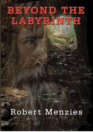 Cover of Beyond the Labyrinth