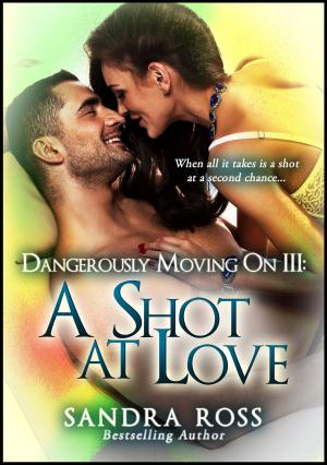 bigCover of the book A Shot at Love: Dangerously Moving On 3 by 